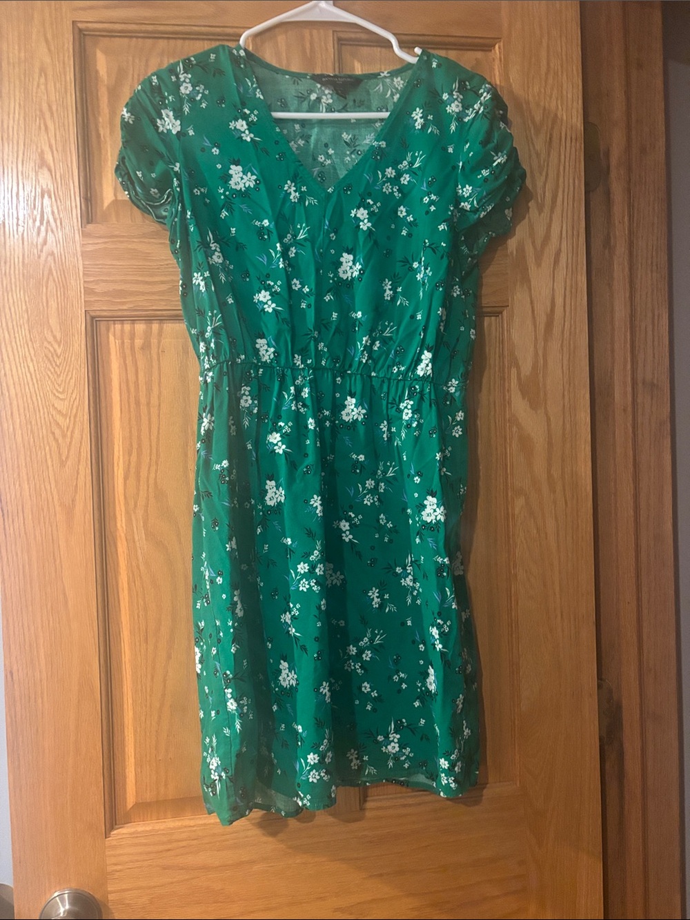 Banana Republic Green Floral V-Neck Dress